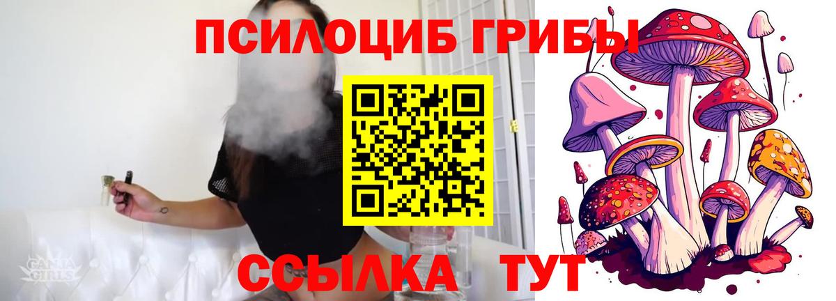 Псилоцибиновые грибы Cubensis  Вход с VPN  Людиново 